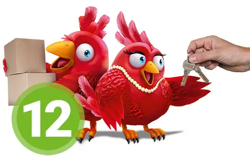 Nestexperten Schritt 12